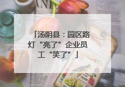 汤阴县：园区路灯“亮了”企业员工“笑了”