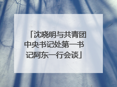 沈晓明与共青团中央书记处第一书记阿东一行会谈