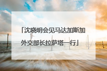 沈晓明会见马达加斯加外交部长拉萨塔一行