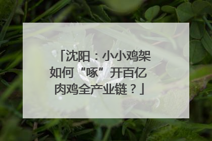 沈阳：小小鸡架如何“啄”开百亿肉鸡全产业链？