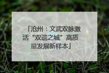 沧州：文武双脉激活“双遗之城”高质量发展新样本
