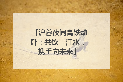 沪蓉夜间高铁动卧：共饮一江水，携手向未来