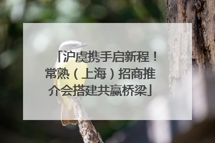 沪虞携手启新程！常熟（上海）招商推介会搭建共赢桥梁