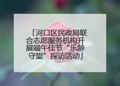 河口区民政局联合志愿服务机构开展端午佳节“乐龄守望”探访活动