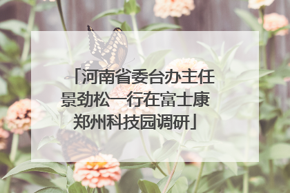 河南省委台办主任景劲松一行在富士康郑州科技园调研