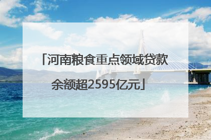 河南粮食重点领域贷款余额超2595亿元