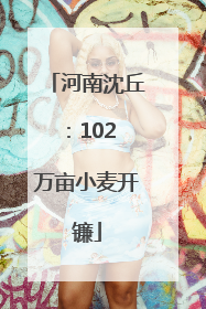 河南沈丘：102 万亩小麦开镰