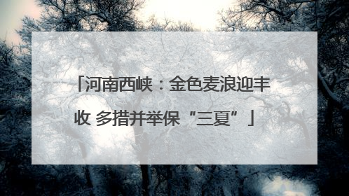 河南西峡：金色麦浪迎丰收 多措并举保“三夏”