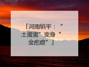 河南镇平：“土蛋蛋”变身“金疙瘩”