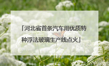 河北省首条汽车用优质特种浮法玻璃生产线点火