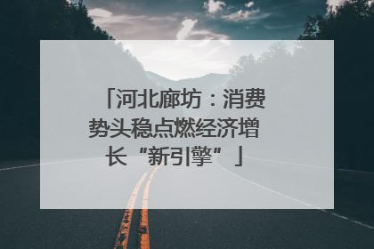 河北廊坊：消费势头稳点燃经济增长“新引擎”