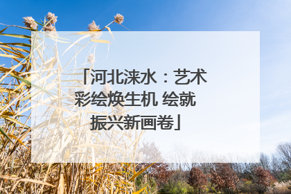 河北涞水：艺术彩绘焕生机 绘就振兴新画卷