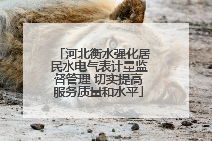 河北衡水强化居民水电气表计量监督管理 切实提高服务质量和水平