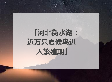 河北衡水湖：近万只夏候鸟进入繁殖期