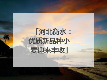 河北衡水：优质新品种小麦迎来丰收