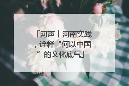 河声丨河南实践，诠释“何以中国”的文化底气