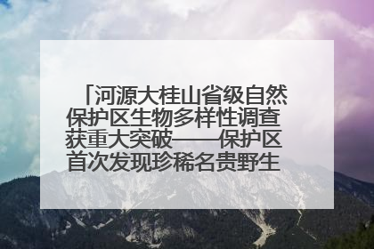 河源大桂山省级自然保护区生物多样性调查获重大突破——保护区首次发现珍稀名贵野生干巴菌与钝尾两头蛇