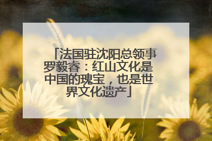 法国驻沈阳总领事罗毅睿：红山文化是中国的瑰宝，也是世界文化遗产