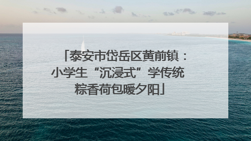 泰安市岱岳区黄前镇：小学生“沉浸式”学传统 粽香荷包暖夕阳