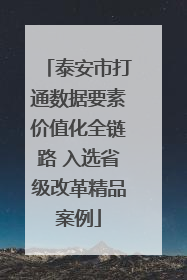 泰安市打通数据要素价值化全链路 入选省级改革精品案例