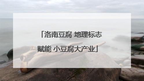洛南豆腐 地理标志赋能 小豆腐大产业