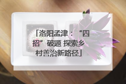 洛阳孟津：“四招”破题 探索乡村善治新路径