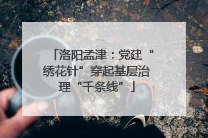 洛阳孟津：党建“绣花针”穿起基层治理“千条线”