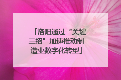 洛阳通过“关键三招”加速推动制造业数字化转型