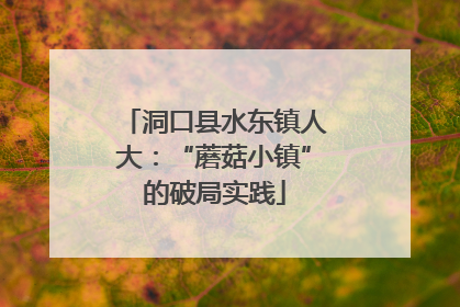 洞口县水东镇人大：“蘑菇小镇”的破局实践