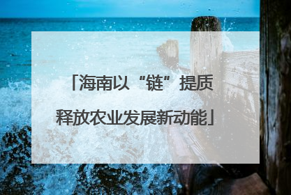海南以“链”提质 释放农业发展新动能