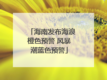 海南发布海浪橙色预警 风暴潮蓝色预警