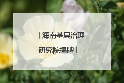 海南基层治理研究院揭牌