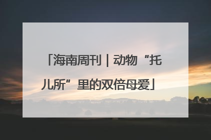 海南周刊｜动物“托儿所”里的双倍母爱