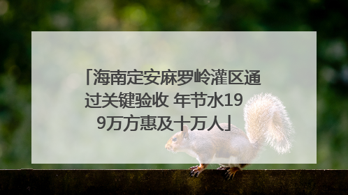 海南定安麻罗岭灌区通过关键验收 年节水199万方惠及十万人