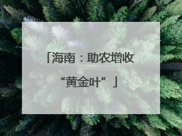 海南：助农增收 “黄金叶”