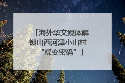 海外华文媒体解锁山西河津小山村“蝶变密码”