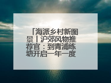 海派乡村新图景丨沪郊风物推荐官：到青浦练塘开启一年一度的蓝莓采摘节