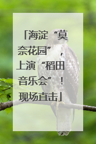 海淀“莫奈花园”，上演“稻田音乐会”！现场直击