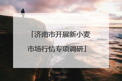济南市开展新小麦市场行情专项调研