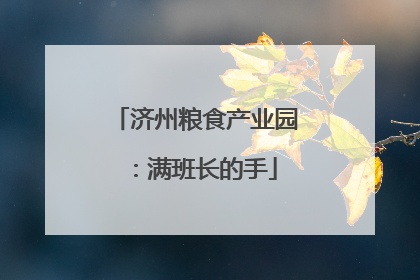 济州粮食产业园：满班长的手