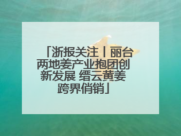 浙报关注丨丽台两地姜产业抱团创新发展 缙云黄姜跨界俏销