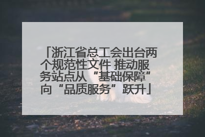 浙江省总工会出台两个规范性文件 推动服务站点从“基础保障”向“品质服务”跃升