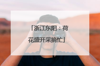 浙江东阳：荷花盛开采摘忙