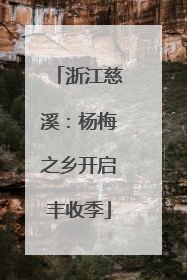浙江慈溪：杨梅之乡开启丰收季
