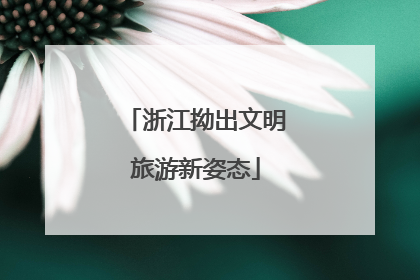 浙江拗出文明旅游新姿态