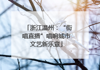浙江温州：“街唱直播”唱响城市文艺新乐章