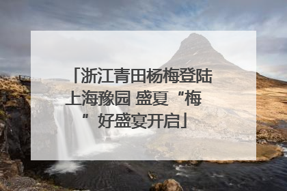浙江青田杨梅登陆上海豫园 盛夏“梅”好盛宴开启