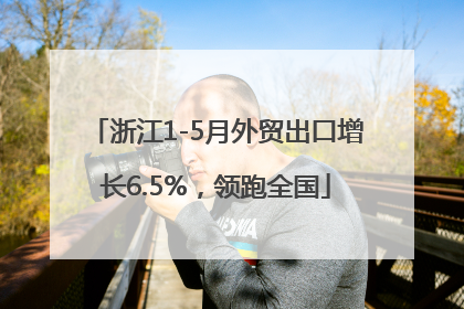 浙江1-5月外贸出口增长6.5%，领跑全国