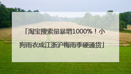淘宝搜索量暴增1000%！小狗雨衣成江浙沪梅雨季硬通货