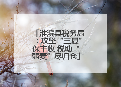 淮滨县税务局：攻坚“三夏”保丰收 税助“弱麦”尽归仓